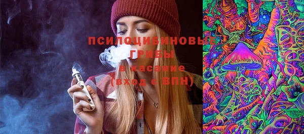 не бодяженный Дмитровск