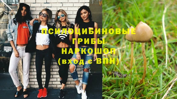 не бодяженный Дмитровск