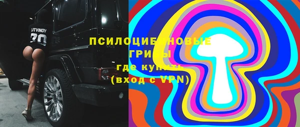 МДПВ Дмитров